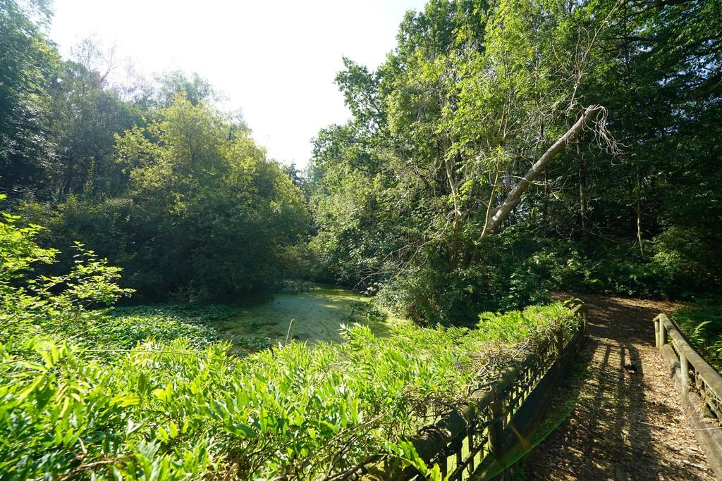 Lake 1