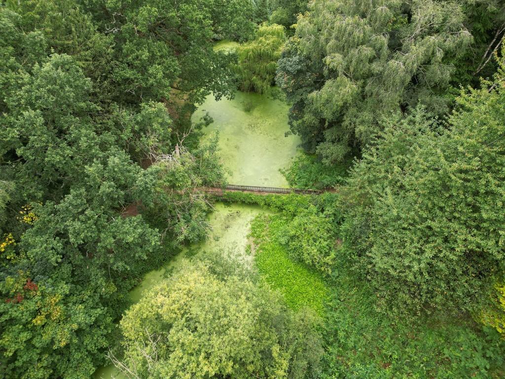 Lake 1 from above