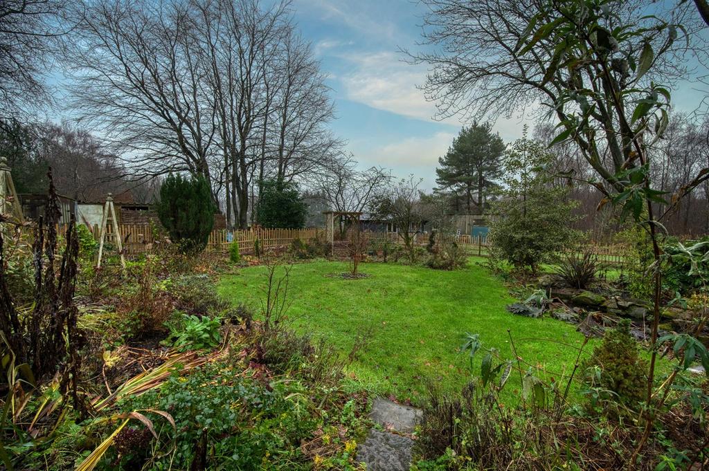 Garden - lawn.jpg