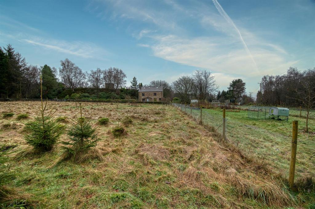 Orchard, Christmas Tree plantation and cottage gar