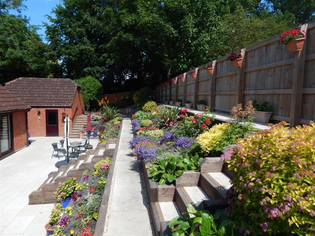 Terrace in bloom 1.JPG