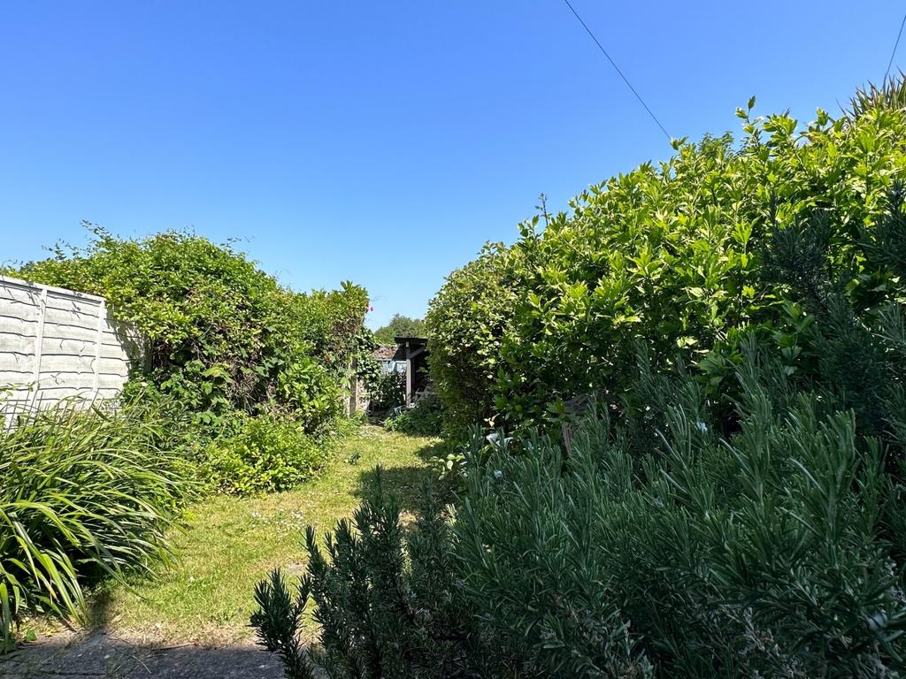 Maltravers garden