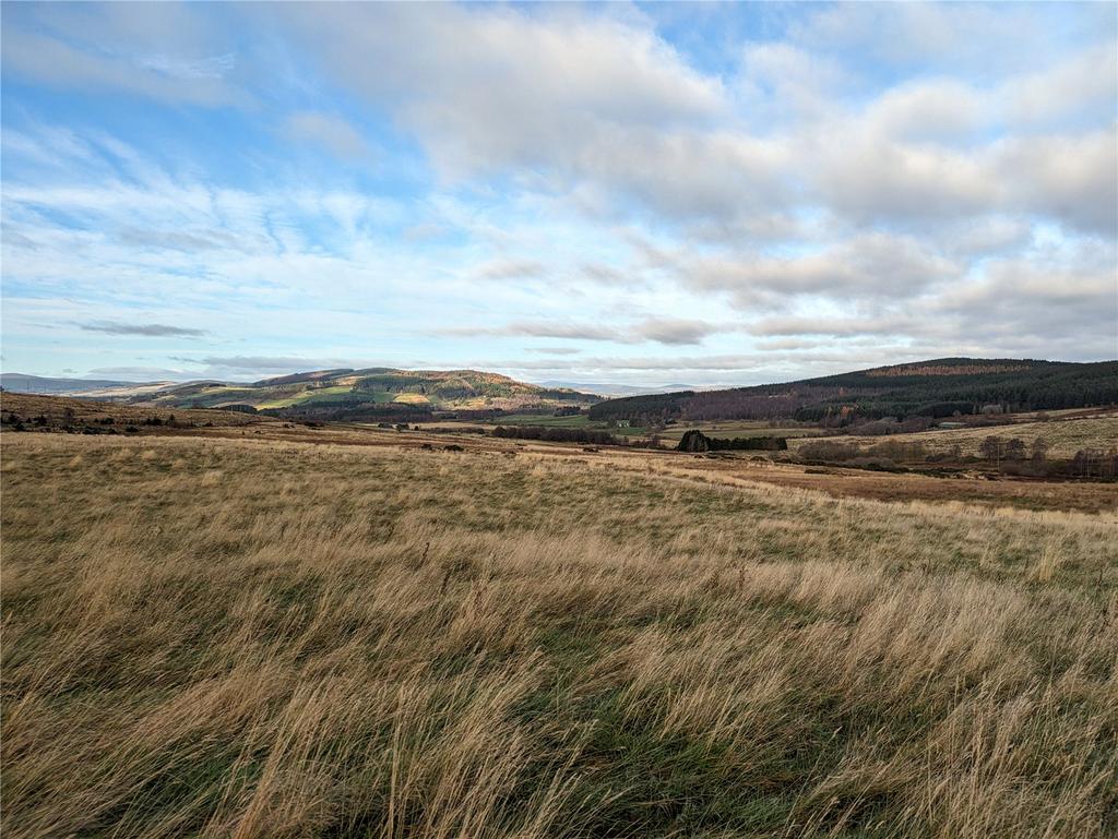 Land