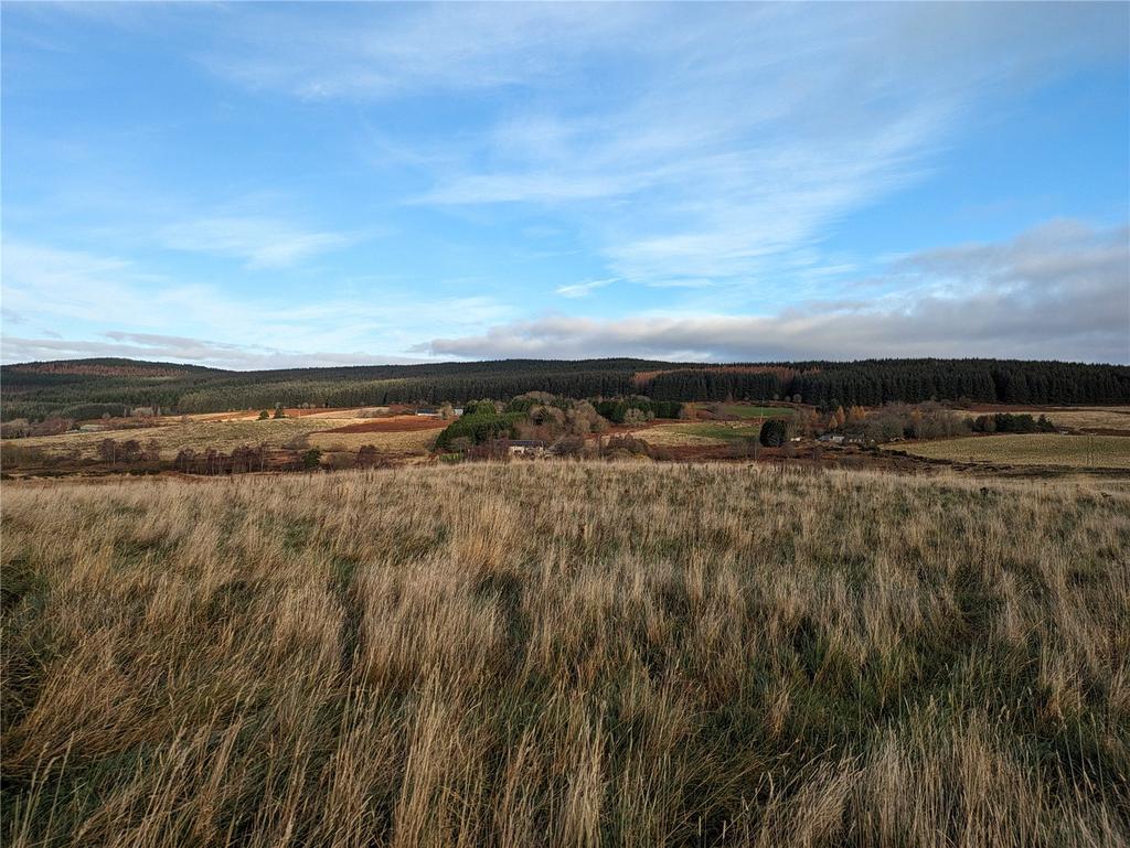 Land