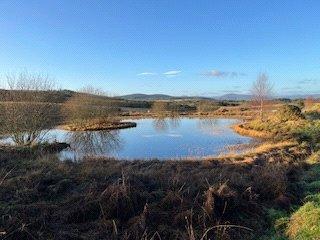 Ponds