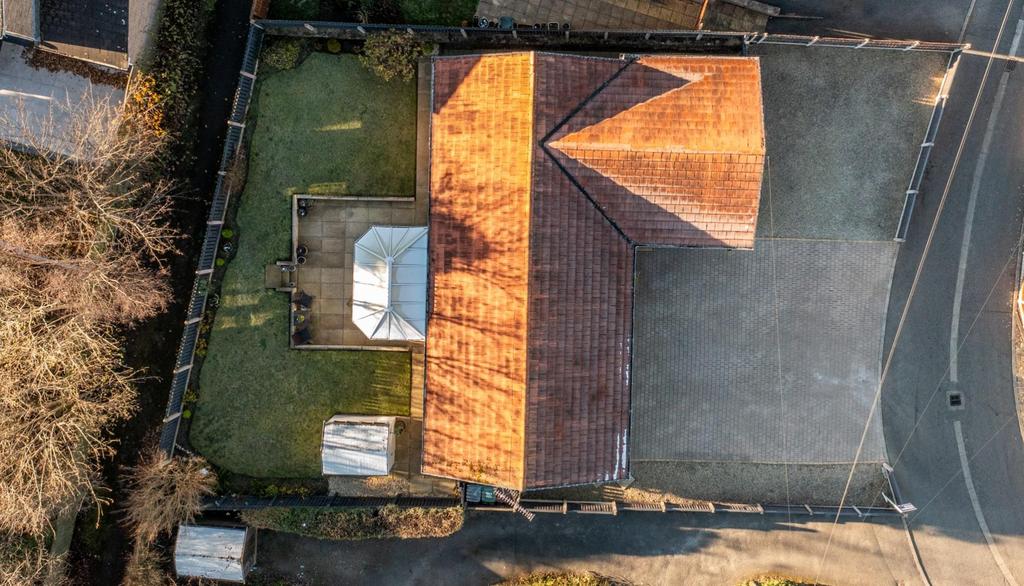 DJI 0875.jpg