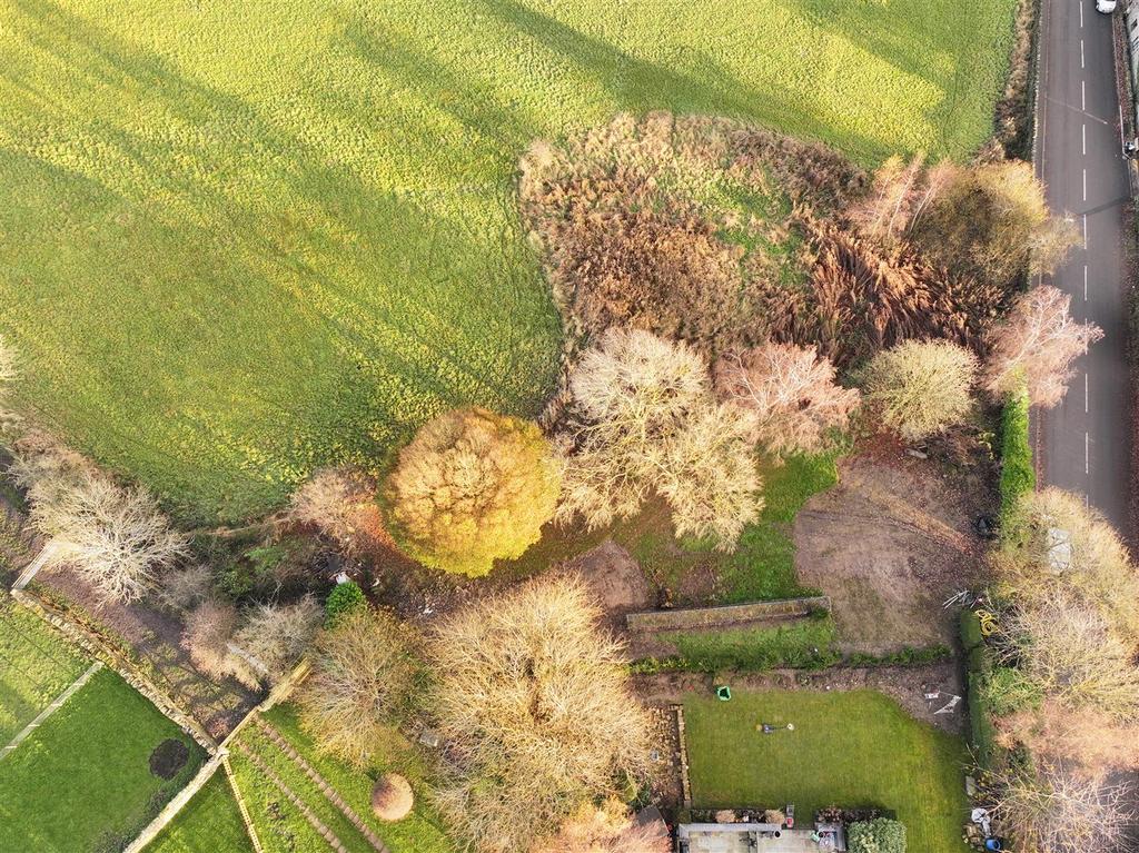 Dji 20241127141941 0981 d.jpg