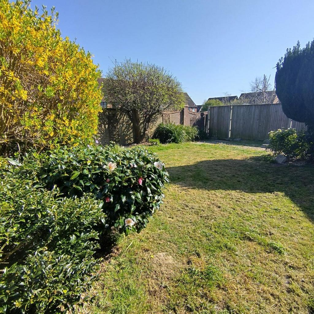 IMG 20250411 152740 HDR.jpg