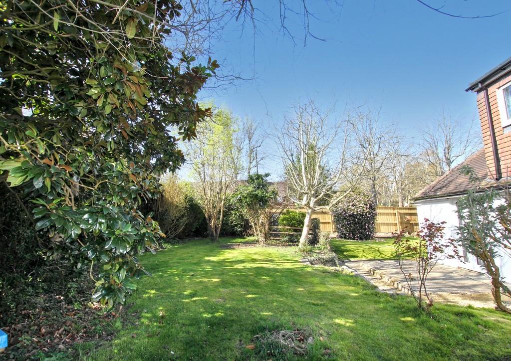 New Garden 1