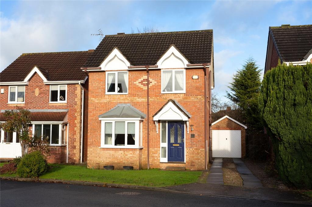 Photos