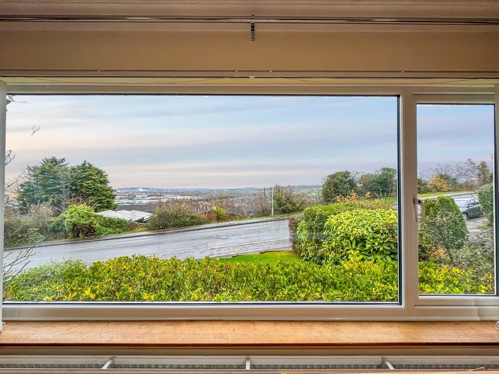 Picture Window
