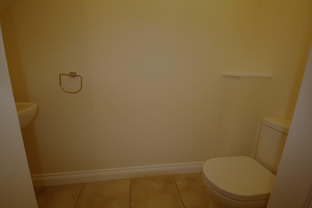 Img 1791