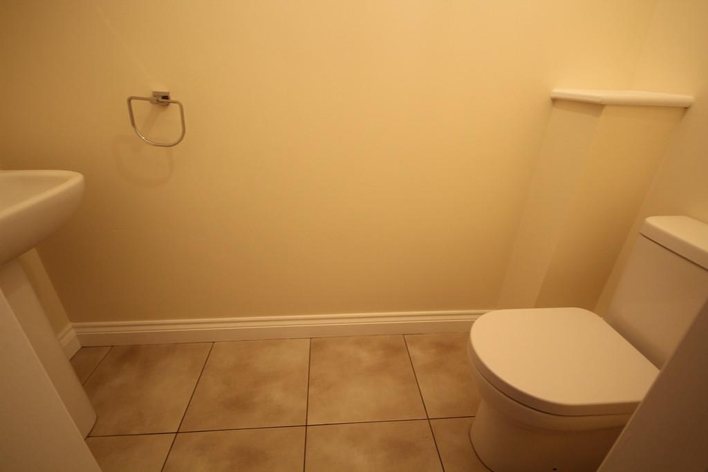 Img 1799