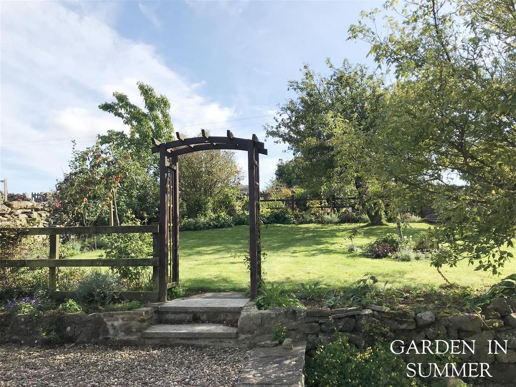 Garden in Summer 2.jpeg