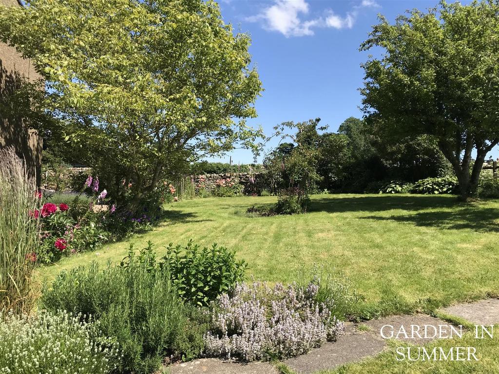Garden in Summer.jpeg