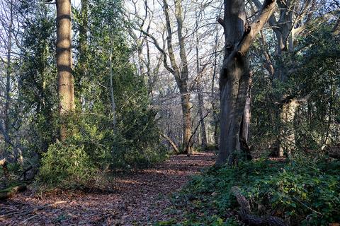 South Lodge Road, Stelling Minnis CT4