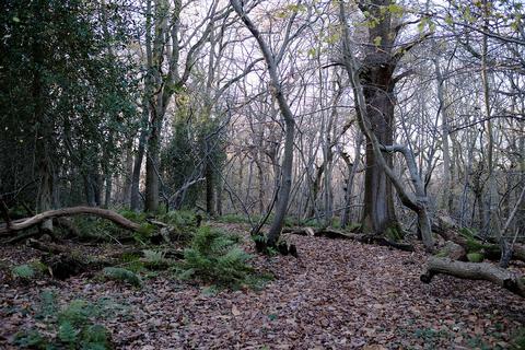 undefined, South Lodge Road, Stelling Minnis CT4