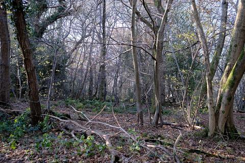 undefined, South Lodge Road, Stelling Minnis CT4