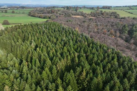 Woodland for sale, Dumfries DG2