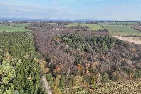 Woodland for sale, Dumfries DG2