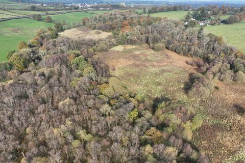 Woodland for sale, Dumfries DG2