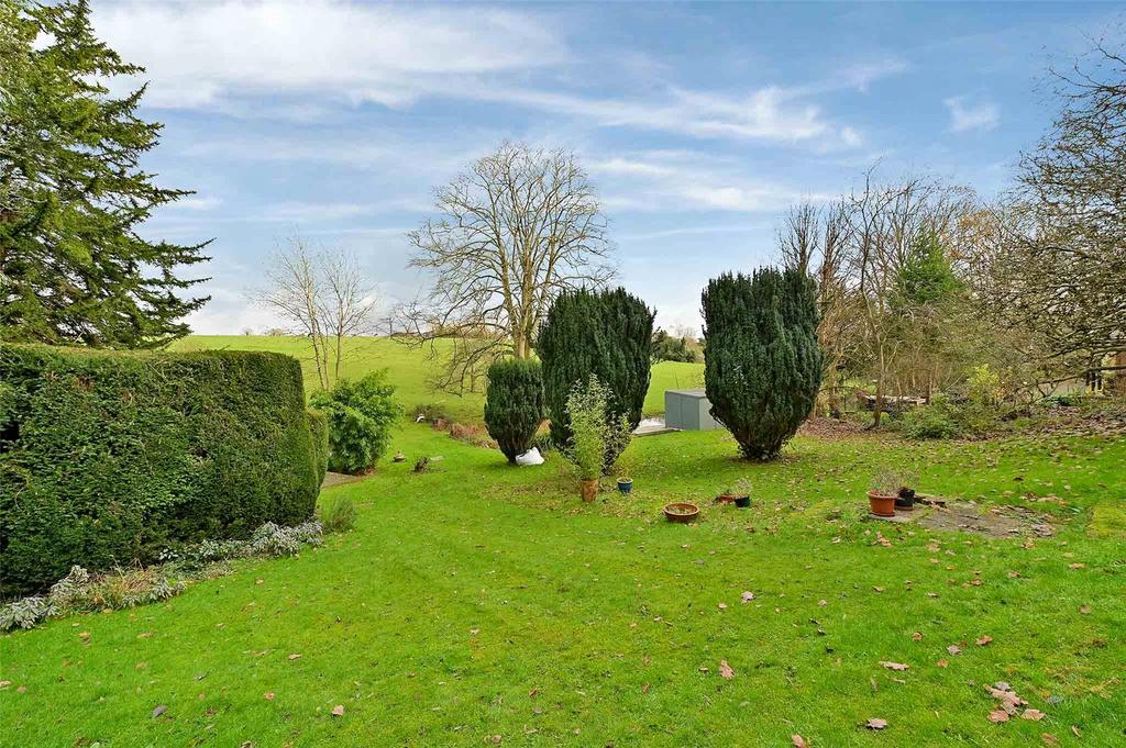 Countryside Views