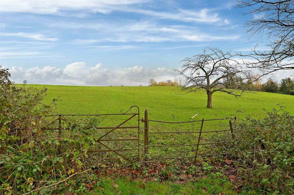 Countryside Views