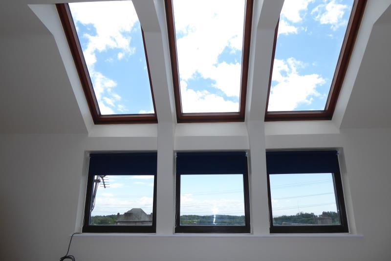 Skylight windows