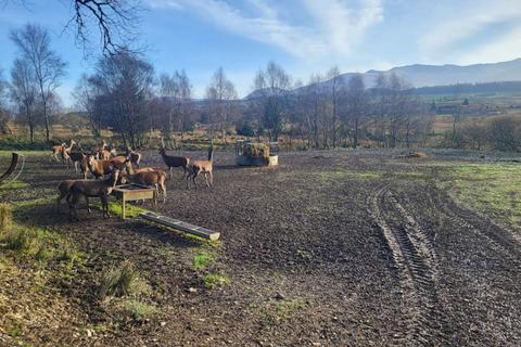 Land for sale, Rutting Season 7, Spean Bridge, Fort William