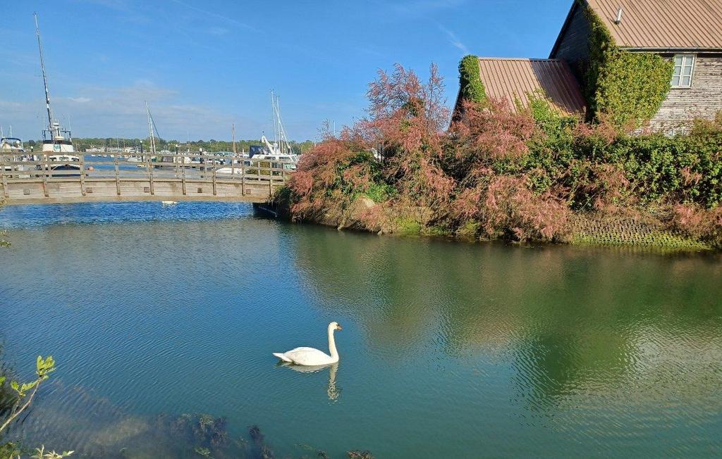 River &amp; Marina View