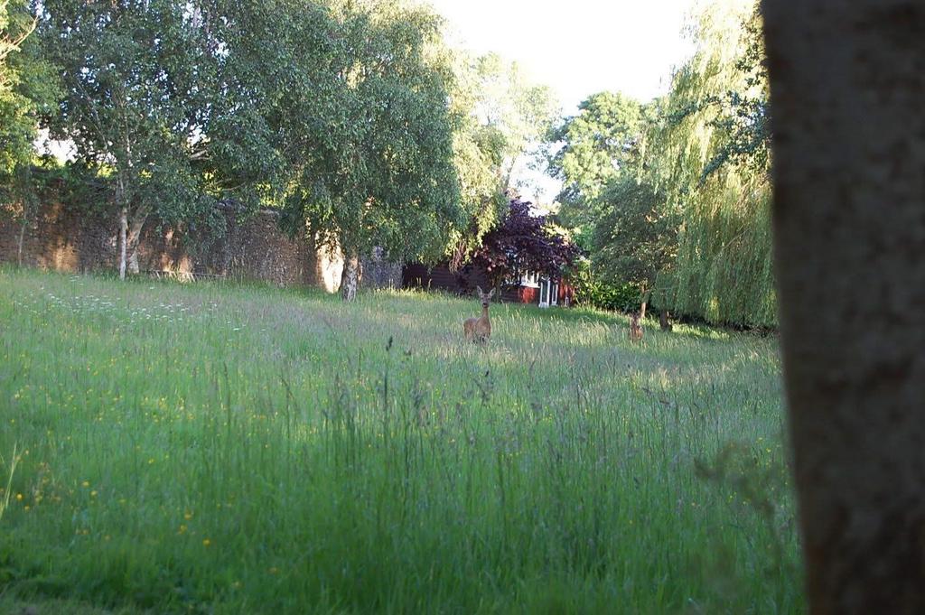 IMG 7903.jpeg