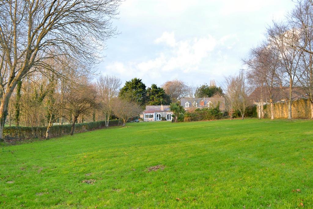 New garden 5.jpg