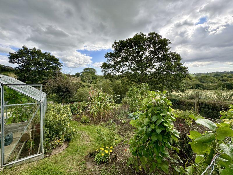 Vegetable Garden