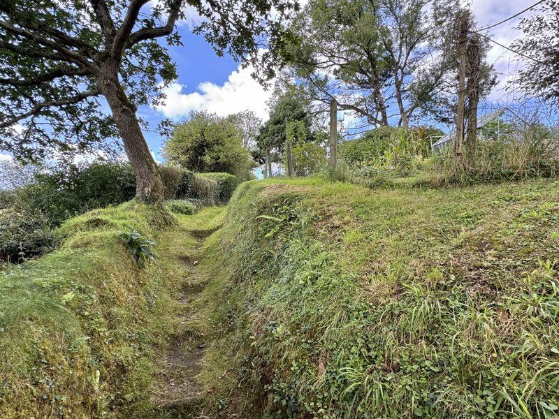 Path To The Garden