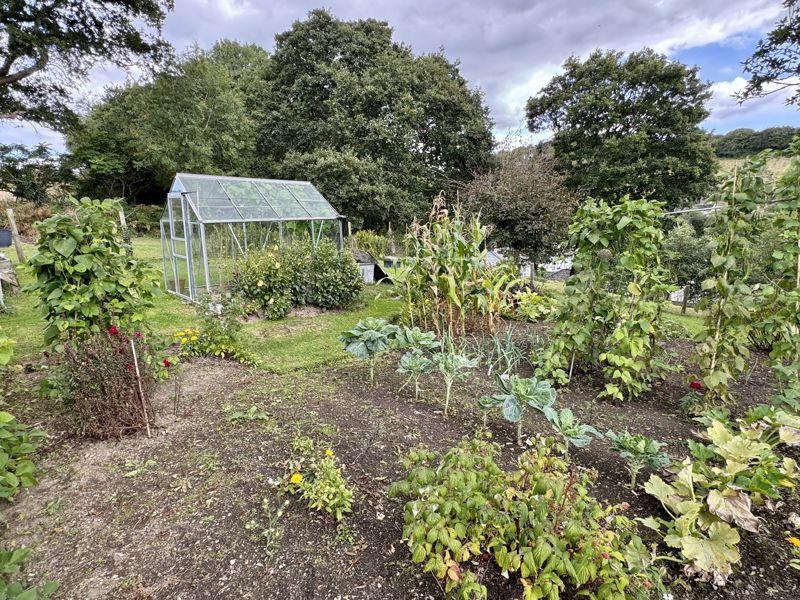 Vegetable Garden