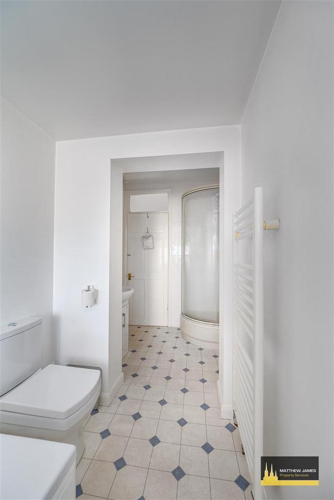 Extended Family Bathroom