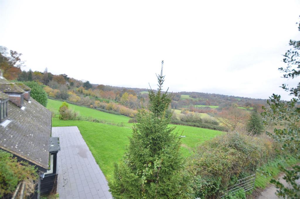 Rear patio &amp; view