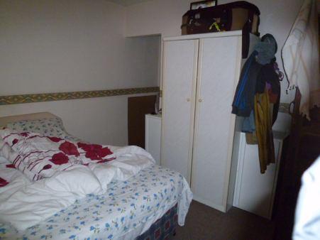 Photograph 6