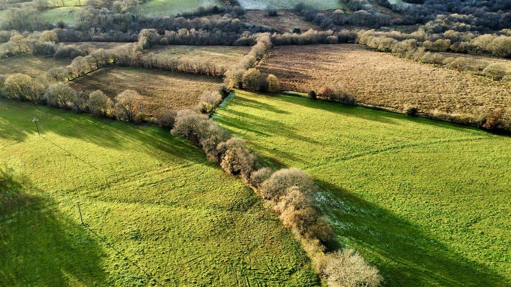The land