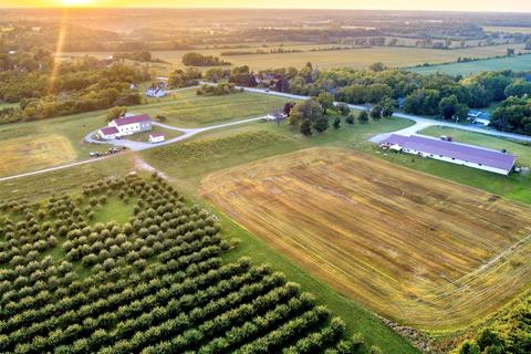 4 bedroom farm house, Vineyard, Lockport, New York