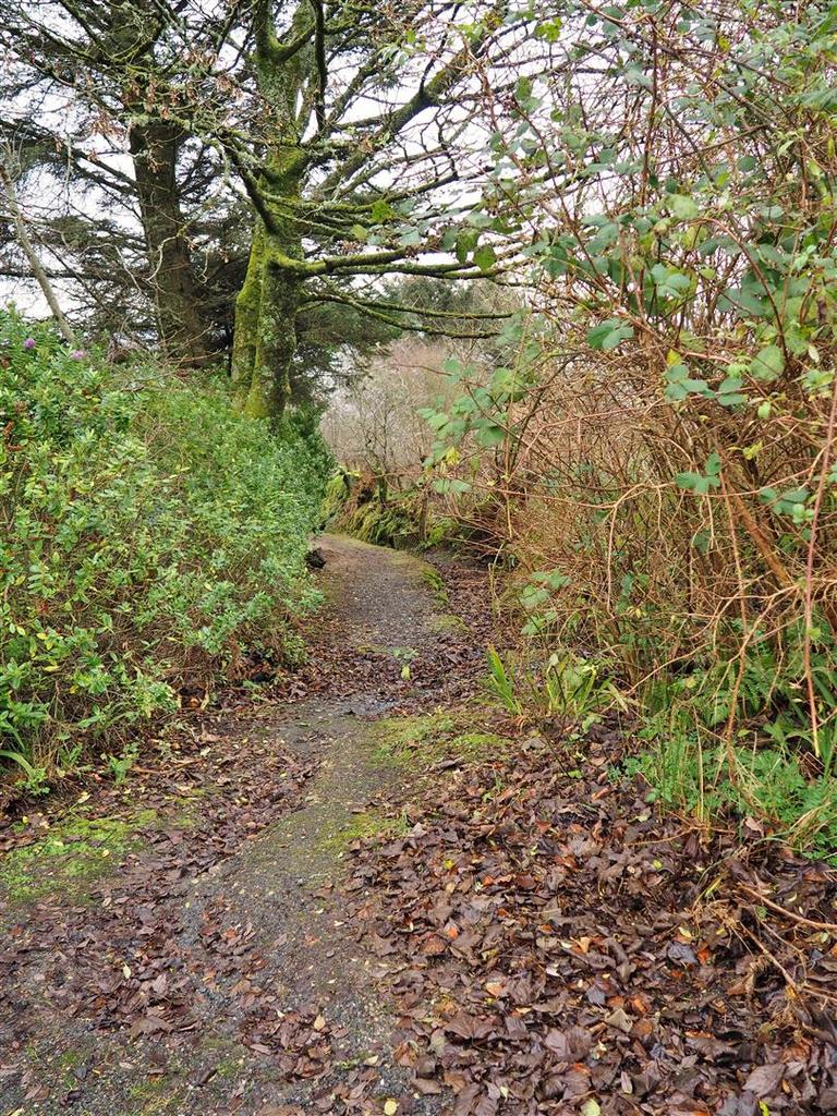 Pathway to Shore Cottage