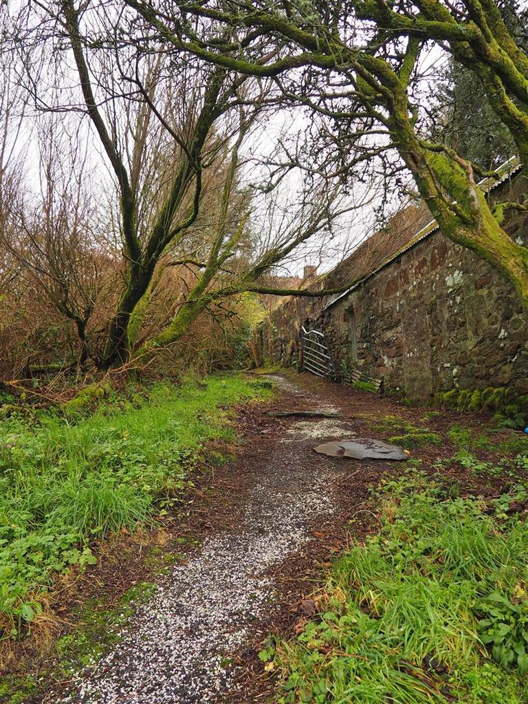 Pathway to Shore Cottage