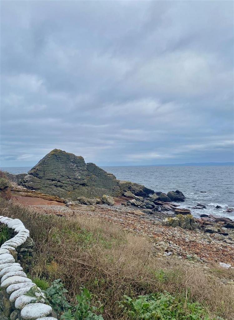 Shore view looking north