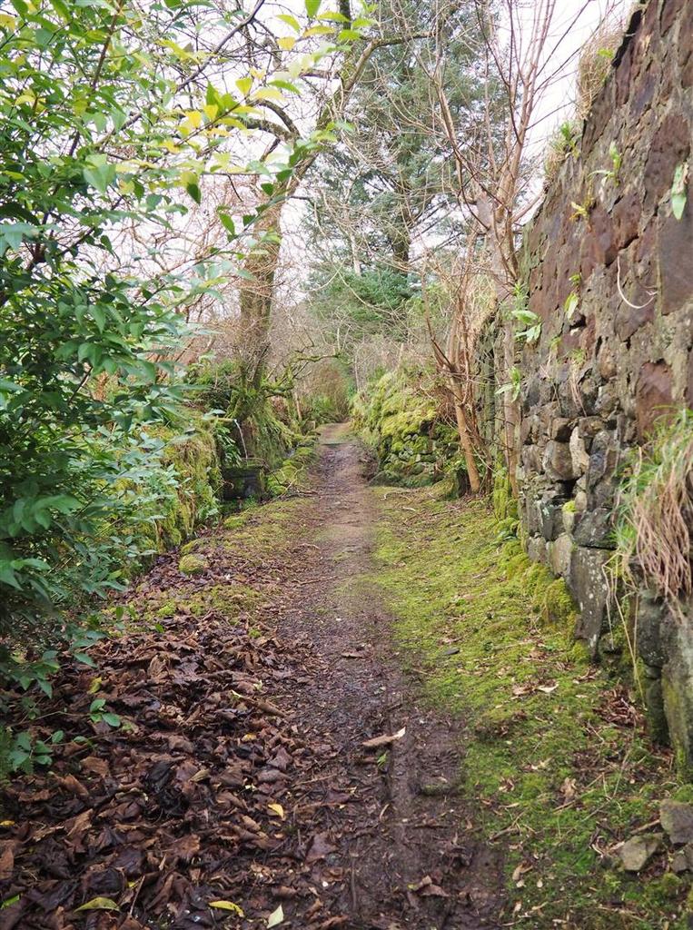Walking path to Shore Cottage