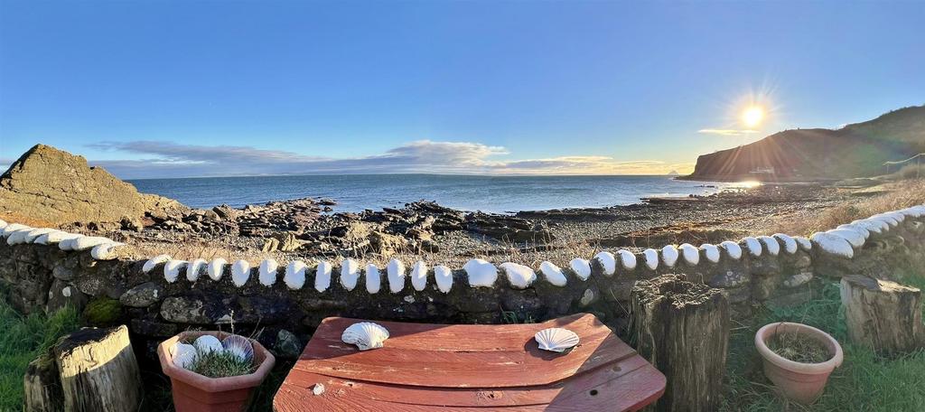 Panoramic view
