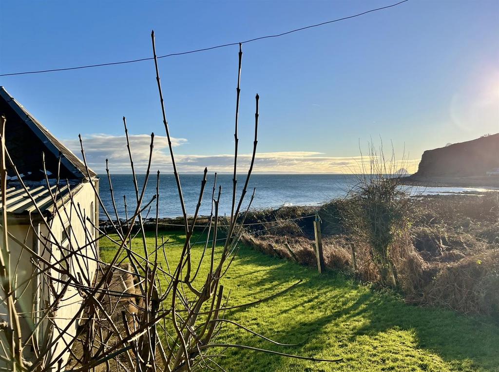View from the rear garden