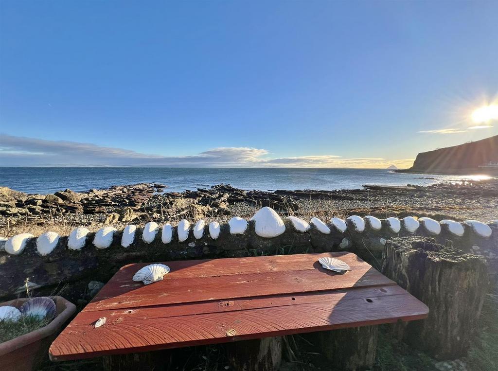 View from the garden