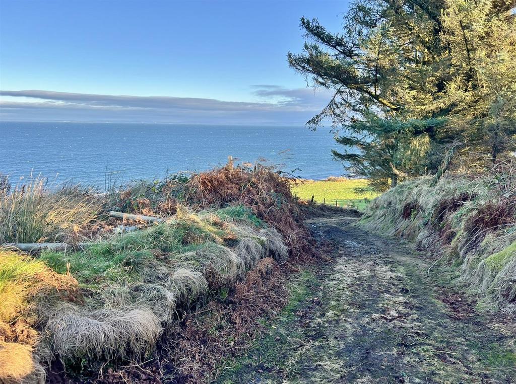 Track to Shore Cottage