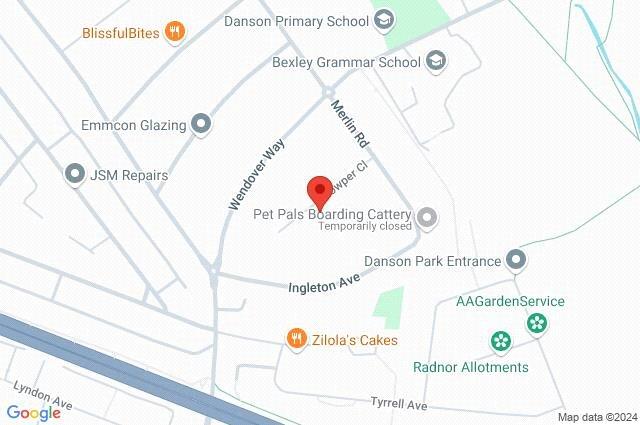 Google Maps Image