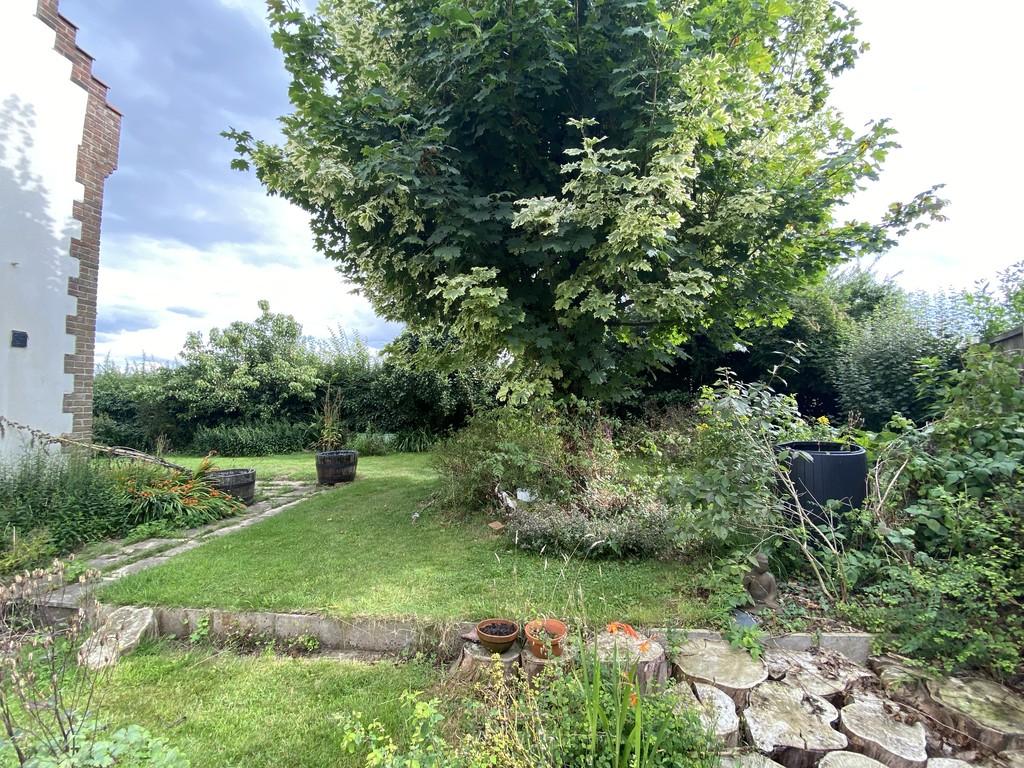 Side garden